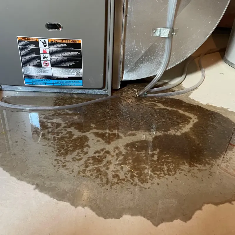 Appliance Leak Cleanup in Lake Stevens, WA
