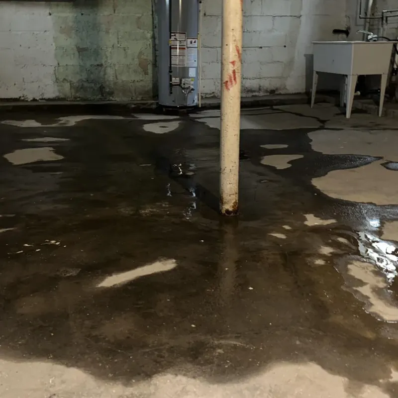 Emergency Water Extraction And Removal in Lake Stevens, WA